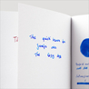 Sailor Ink Studio 740 Inchiostro 20 ml