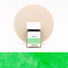 Sailor Ink Studio 460 Inchiostro 20 ml