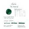 Sailor Ink Studio 462 Inchiostro 20 ml