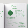 Diamine Ultra Green Inchiostro 30 ml