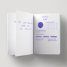 Diamine Violet Inchiostro 30 ml