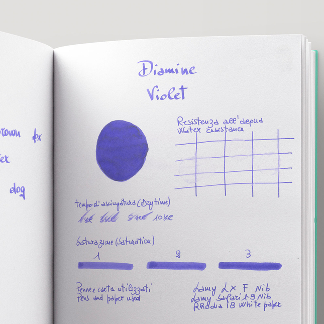Diamine Violet Inchiostro 30 ml