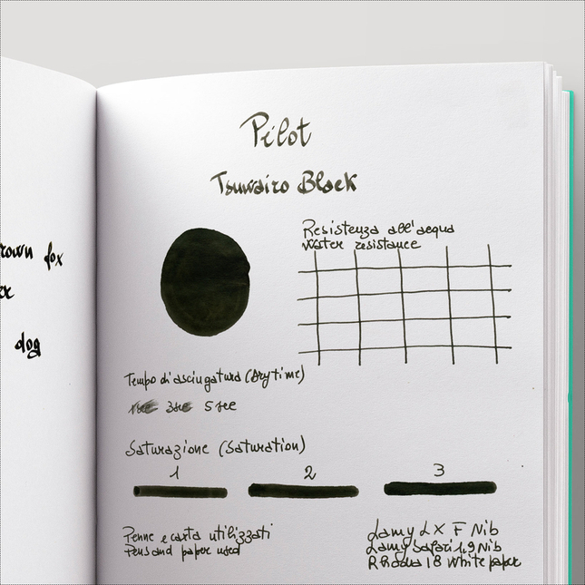 Pilot Tsuwairo Black Ink Bottle 30 ml