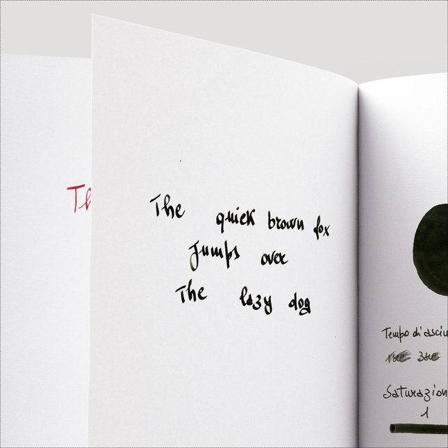 Pilot Tsuwairo Black Ink Bottle 30 ml