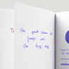 Diamine Violet Inchiostro 30 ml
