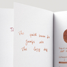 Diamine Warm Brown Inchiostro 30 ml
