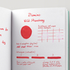 Diamine Wild Strawberry Ink Bottle 30 ml