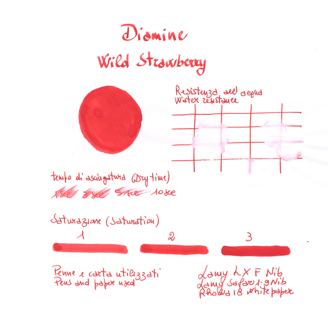 Diamine Wild Strawberry Ink Bottle 30 ml