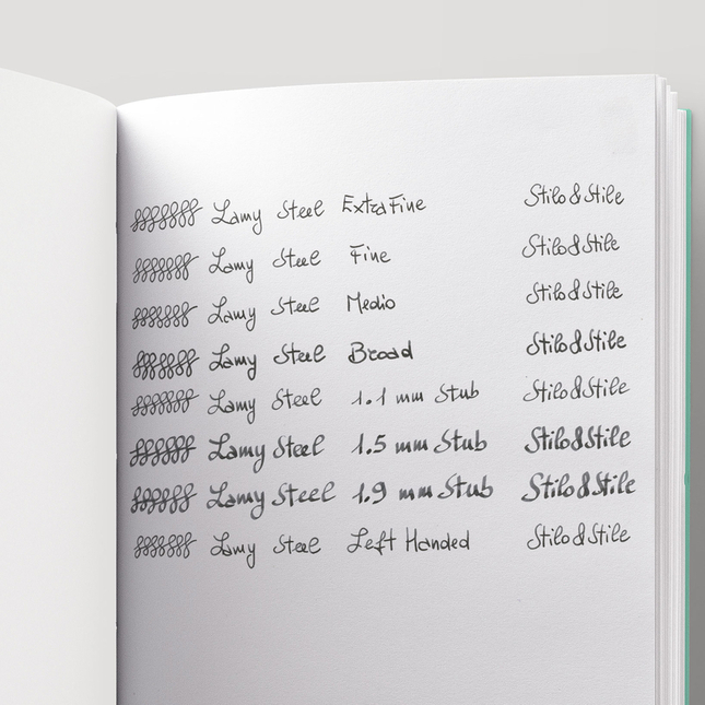Lamy Safari Cozy Penna Stilografica Strawberry Edizione Speciale 2022