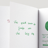 Diamine Woodland Green Inchiostro 30 ml