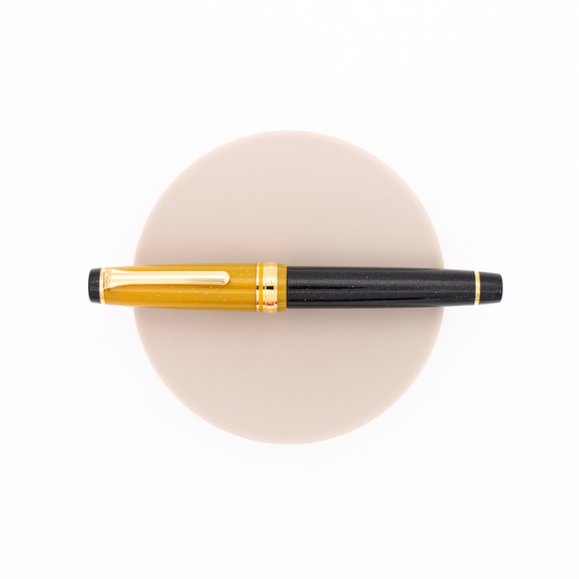 Sailor Professional Gear Penna Stilografica Stellar Black Hole Edizione Limitata