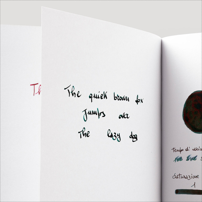 Diamine Inkvent Black Ivy Inchiostro 50 ml Red Edition Sheen
