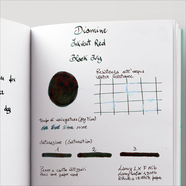 Diamine Inkvent Black Ivy Inchiostro 50 ml Red Edition Sheen