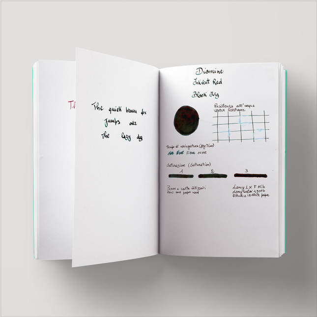 Diamine Inkvent Black Ivy Inchiostro 50 ml Red Edition Sheen
