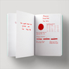 Diamine Inkvent Red Robin Ink Bottle 50 ml Red Edition