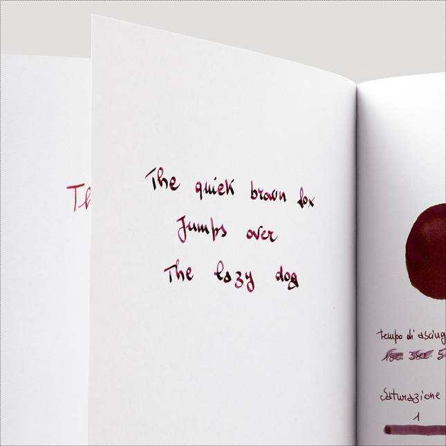 Diamine Inkvent Seize the Night Ink Bottle 50 ml Red Edition