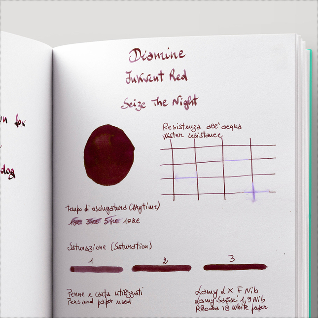 Diamine Inkvent Seize the Night Ink Bottle 50 ml Red Edition