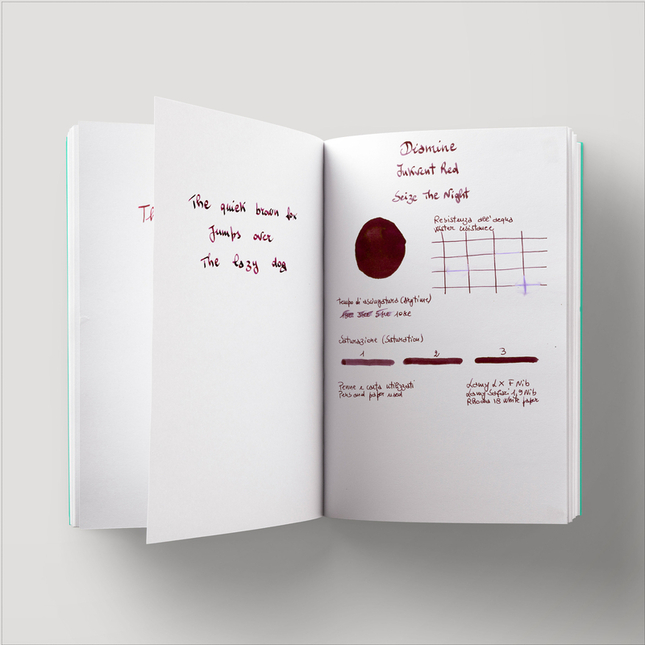 Diamine Inkvent Seize the Night Ink Bottle 50 ml Red Edition