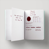 Diamine Inkvent Seize the Night Ink Bottle 50 ml Red Edition