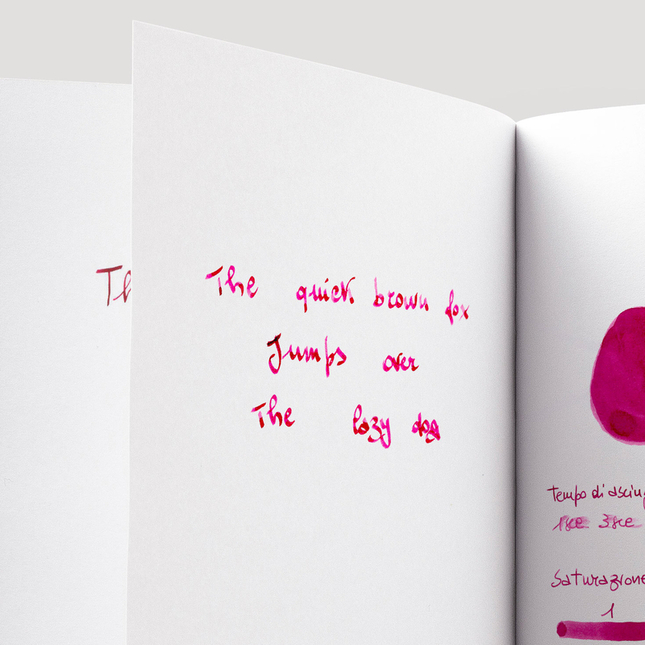 Diamine Inkvent Raspberry Rose Ink Bottle 50 ml Red Edition