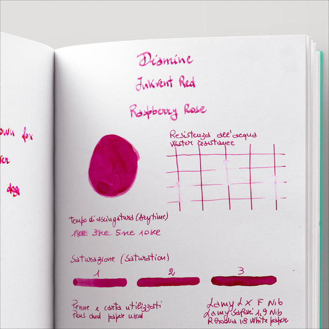 Diamine Inkvent Raspberry Rose Ink Bottle 50 ml Red Edition