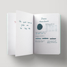 Diamine Aurora Borealis Inchiostro 80 ml