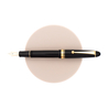 Pilot Custom 742 SoftFine Penna Stilografica Nera Pilot Custom 742 SoftFine Penna Stilografica Nera