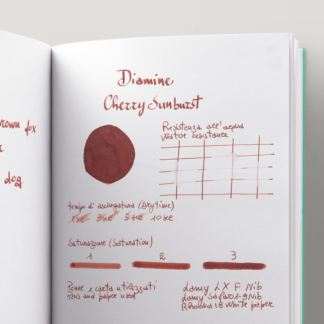 Diamine Guitar Cherry Sunburst Inchiostro 80 ml