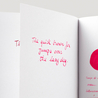 Diamine Classic Red Inchiostro 80 ml