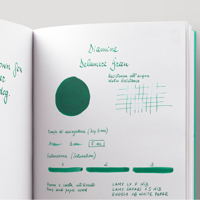 Diamine Delamere Green Inchiostro 80 ml