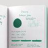 Diamine Delamere Green Inchiostro 80 ml