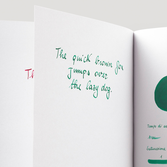 Diamine Delamere Green Inchiostro 80 ml