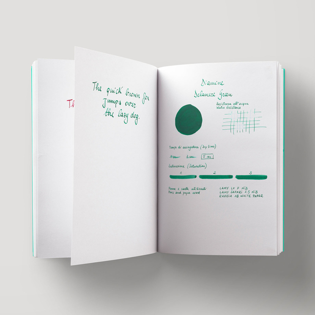 Diamine Delamere Green Inchiostro 80 ml