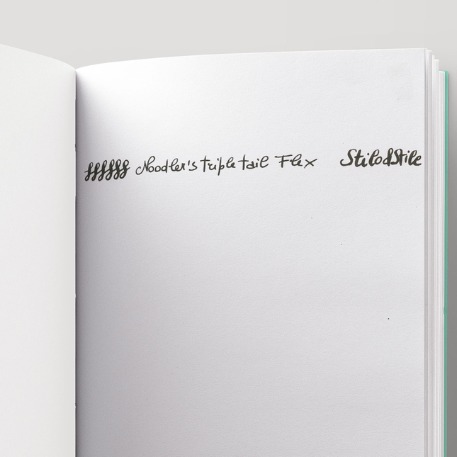 Noodler's Triple Tail Penna Stilografica Trasparente