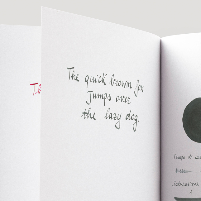 Diamine Graphite Inchiostro 80 ml