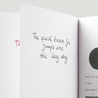 Diamine Graphite Inchiostro 80 ml Diamine Graphite Inchiostro 80 ml
