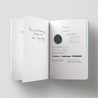 Diamine Graphite Inchiostro 80 ml