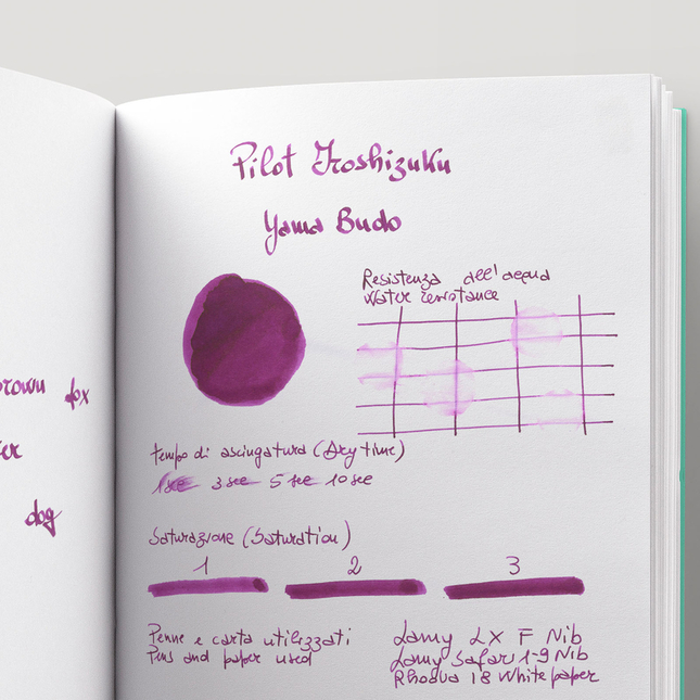 Pilot Iroshizuku Yama-Budo 6 Ink Cartridges