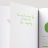 Diamine Meadow Ink Bottle 80 ml