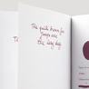 Diamine Merlot Ink Bottle 80 ml
