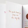 Diamine Ochre Ink Bottle 80 ml