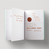 Diamine Ochre Ink Bottle 80 ml