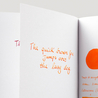 Diamine Orange Inchiostro 80 ml Diamine Orange Inchiostro 80 ml