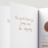 Diamine Raw Sienna Inchiostro 80 ml Diamine Raw Sienna Inchiostro 80 ml