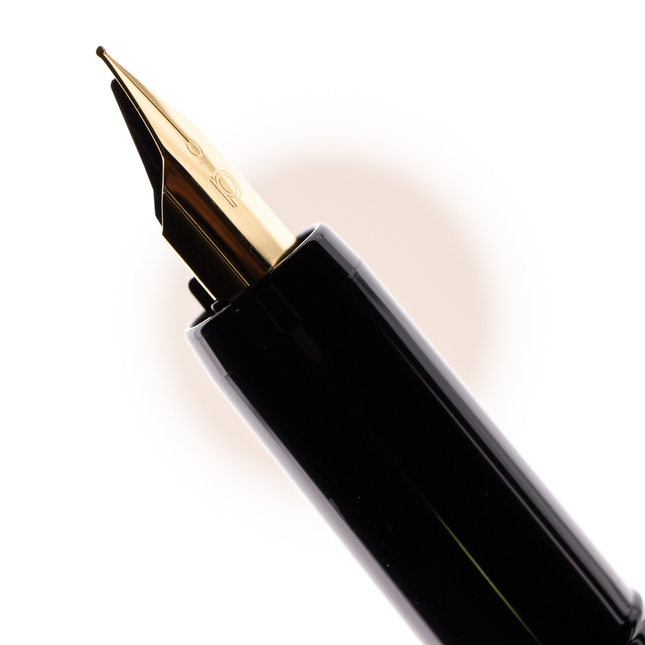 Platinum Desk Pen Penna Stilografica Nera