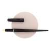 Platinum Desk Pen Penna Stilografica Nera