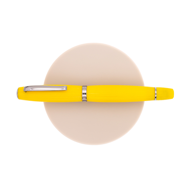 Scribo La Dotta Penna Stilografica Studiorum Edizione Limitata