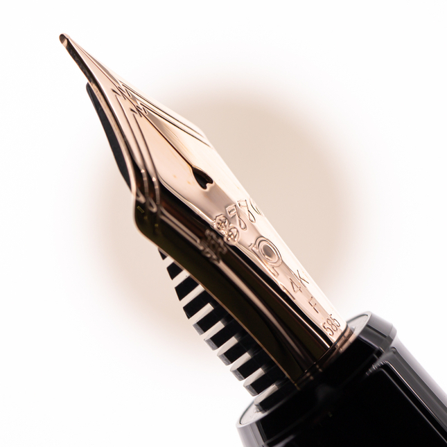 Platinum 3776 Century Penna Stilografica Shape of a Heart Edizione Limitata