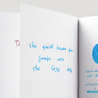 Diamine Turquoise Inchiostro 80 ml
