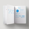 Diamine Turquoise Inchiostro 80 ml